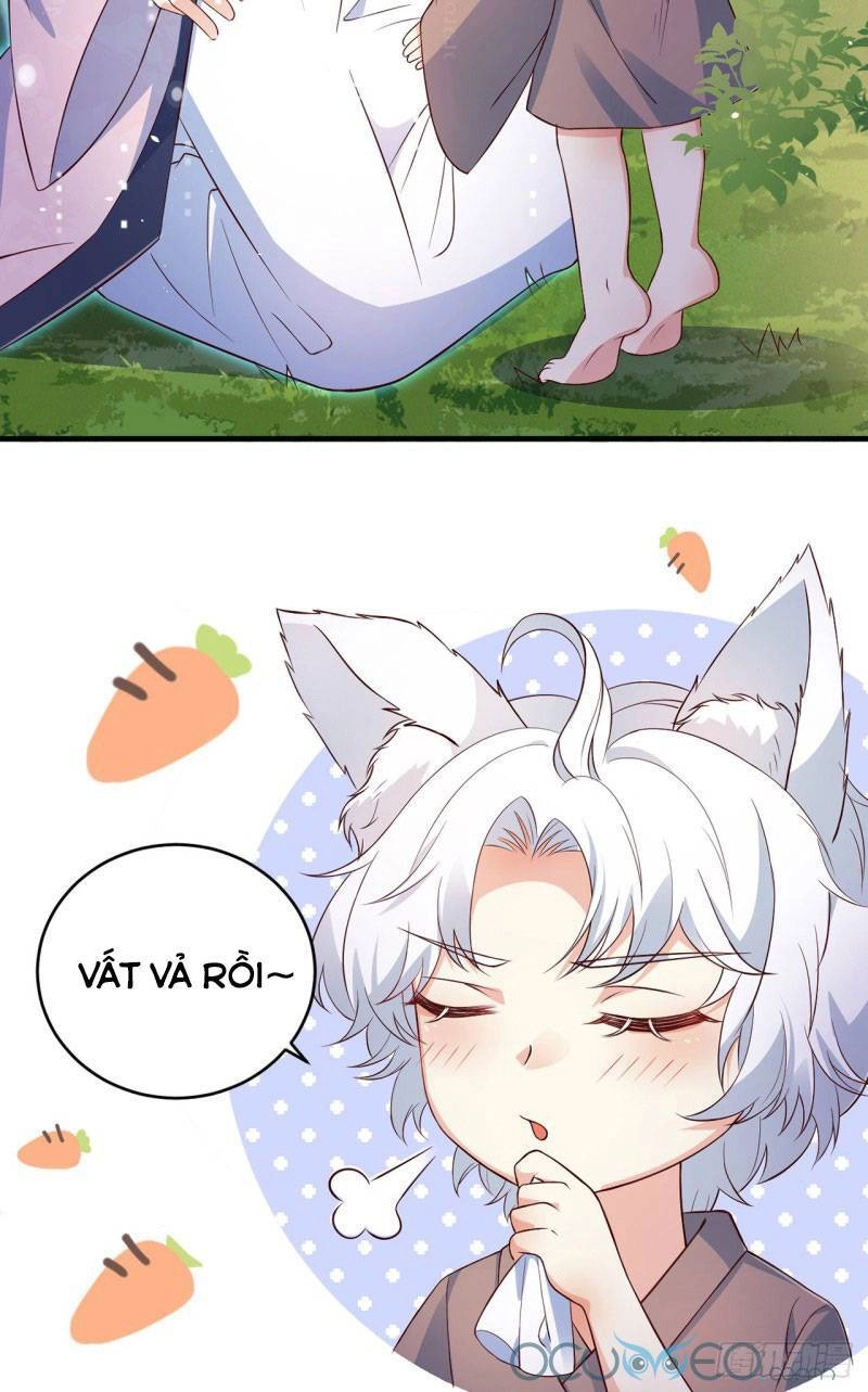 Tiểu Hồ Ly Hôm Nay Có Chút Ngoan Chapter 5 - 13