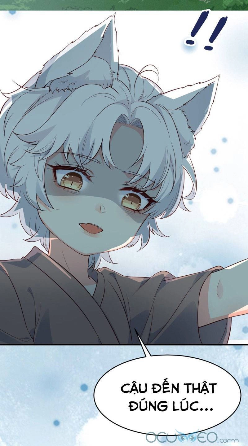 Tiểu Hồ Ly Hôm Nay Có Chút Ngoan Chapter 5 - 24