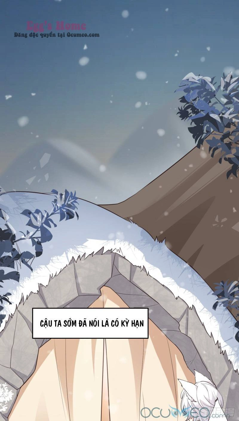 Tiểu Hồ Ly Hôm Nay Có Chút Ngoan Chapter 8 - 21