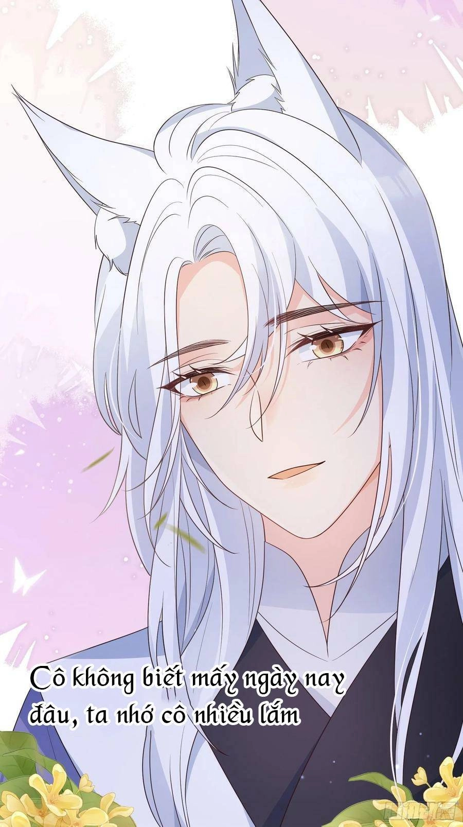 Tiểu Hồ Ly Hôm Nay Có Chút Ngoan Chapter 63 - 44