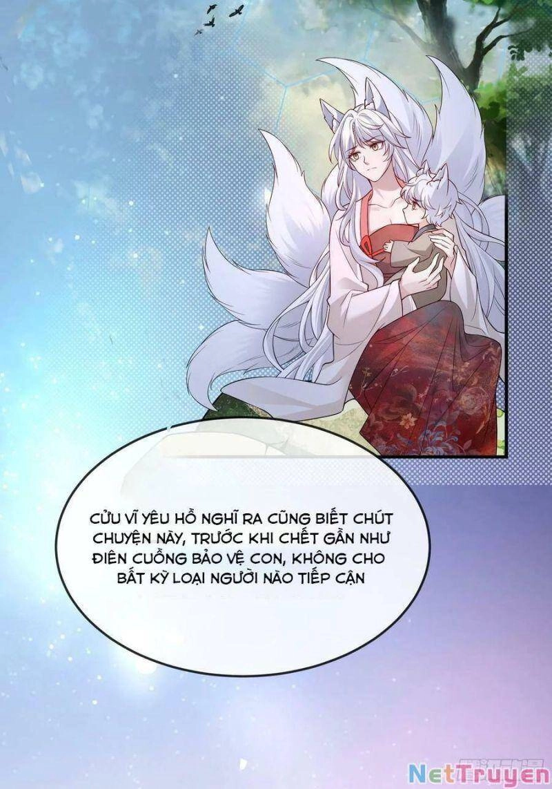 Tiểu Hồ Ly Hôm Nay Có Chút Ngoan Chapter 91 - 27