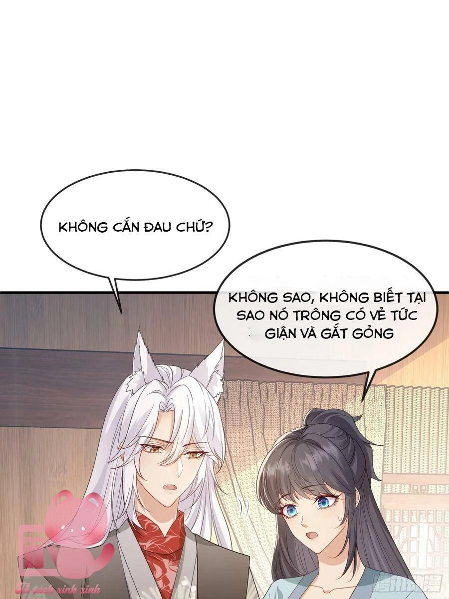 Tiểu Hồ Ly Hôm Nay Có Chút Ngoan Chapter 93 - 33