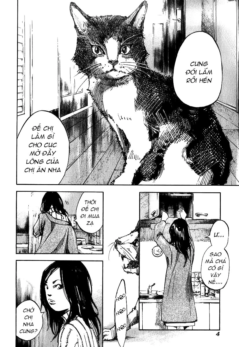 Skyhigh: Shinshou Chapter 5 - 6