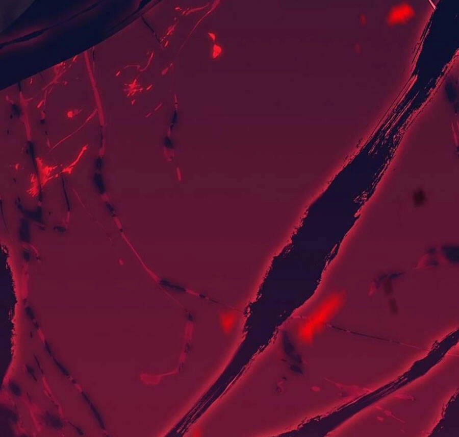 Tôi Là Thợ Săn Có Sức Mạnh Của 99 Vạn Tiền Kiếp Chapter 65 - 7