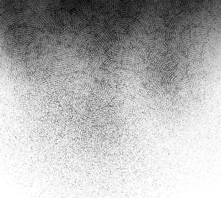 Tôi Là Thợ Săn Có Sức Mạnh Của 99 Vạn Tiền Kiếp Chapter 67 - 134