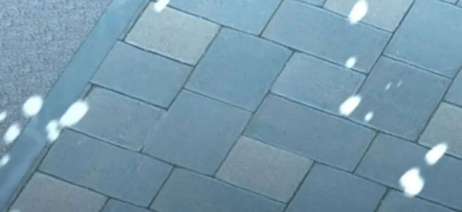 Tôi Là Thợ Săn Có Sức Mạnh Của 99 Vạn Tiền Kiếp Chapter 89 - 227