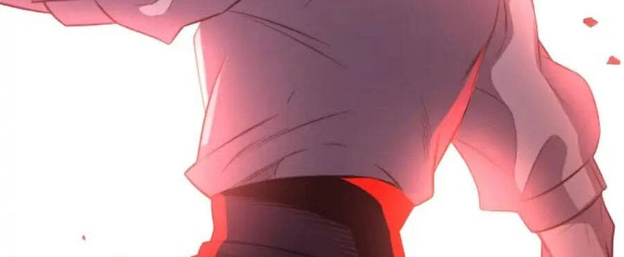 Tôi Là Thợ Săn Có Sức Mạnh Của 99 Vạn Tiền Kiếp Chapter 91 - 295