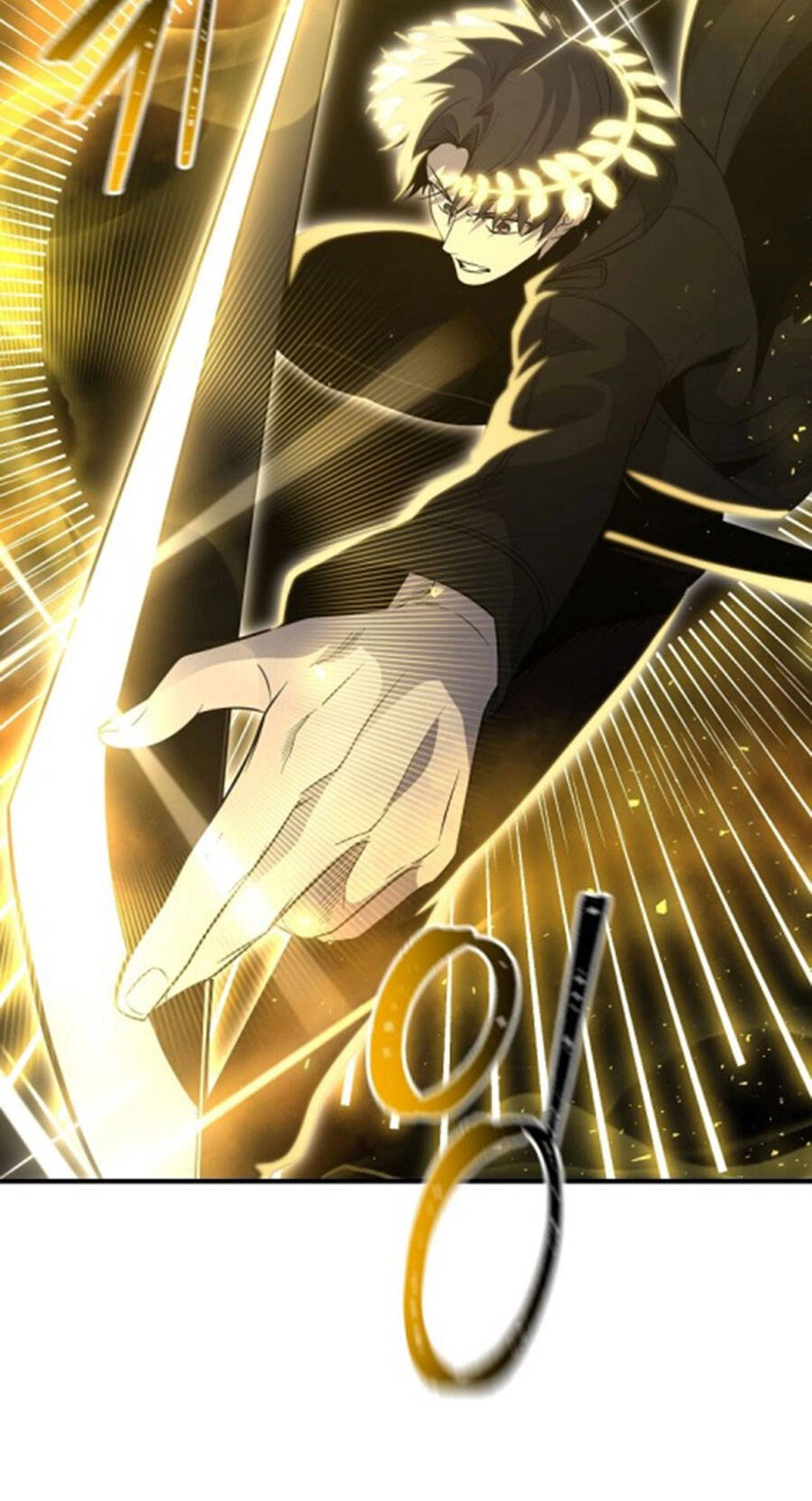 Tôi Là Thợ Săn Có Sức Mạnh Của 99 Vạn Tiền Kiếp Chapter 106 - 88