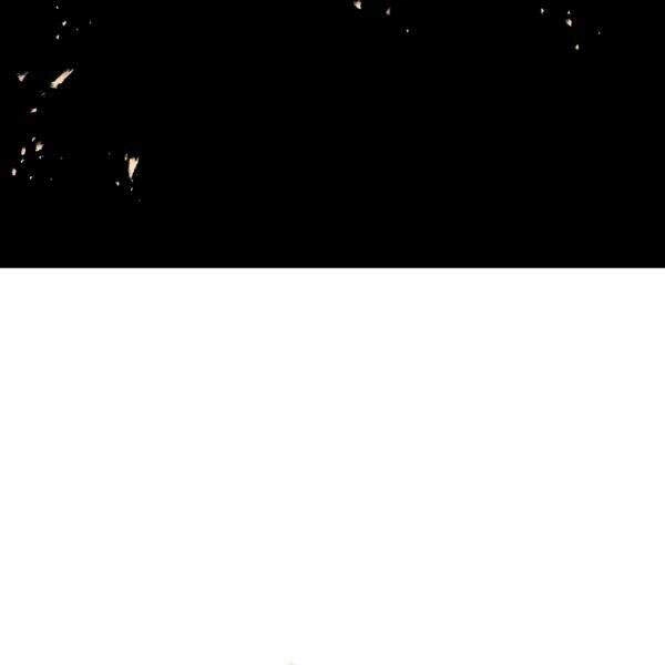 Tôi Là Thợ Săn Có Sức Mạnh Của 99 Vạn Tiền Kiếp Chapter 39 - 155