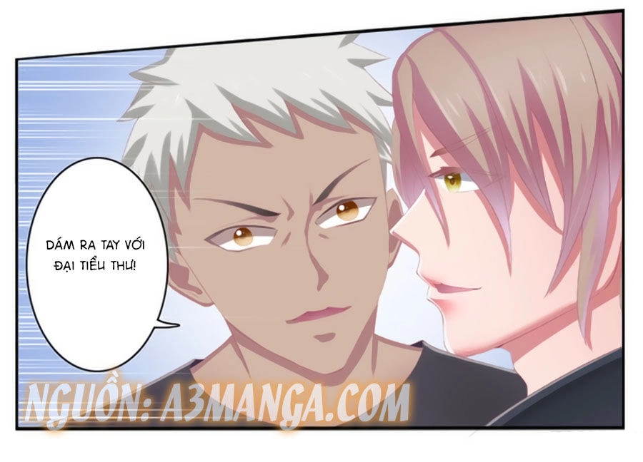 Trí Mệnh Sủng Thê: Tổng Tài Mau Nạp Mạng Chapter 3 - 5