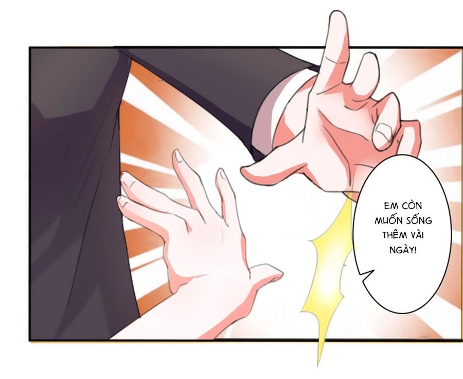 Trí Mệnh Sủng Thê: Tổng Tài Mau Nạp Mạng Chapter 5 - 14