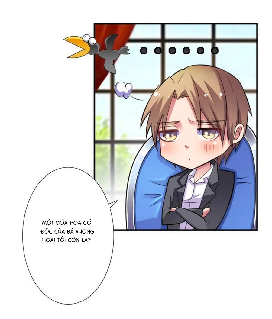 Trí Mệnh Sủng Thê: Tổng Tài Mau Nạp Mạng Chapter 18 - 13