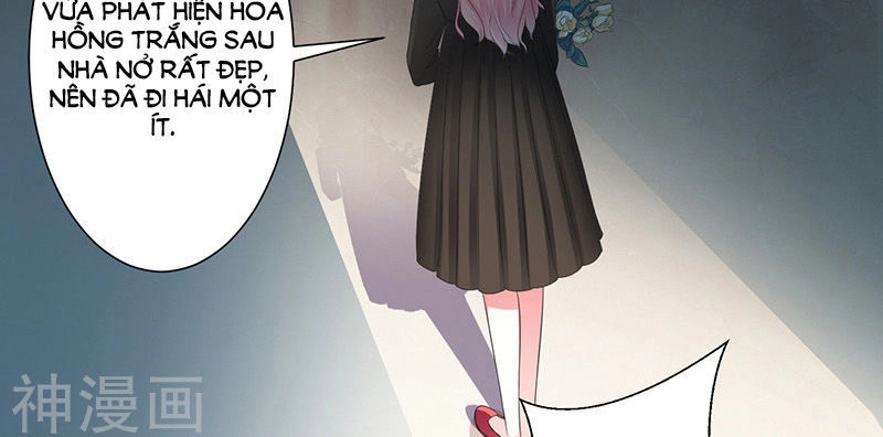 Trí Mệnh Sủng Thê: Tổng Tài Mau Nạp Mạng Chapter 105 - 2