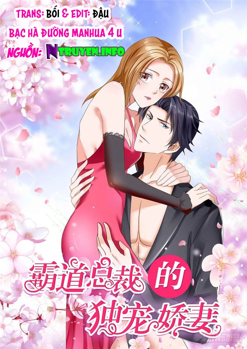 Độc Sủng Kiều Thê Của Bá Đạo Tổng Tài Chapter 1 - 1