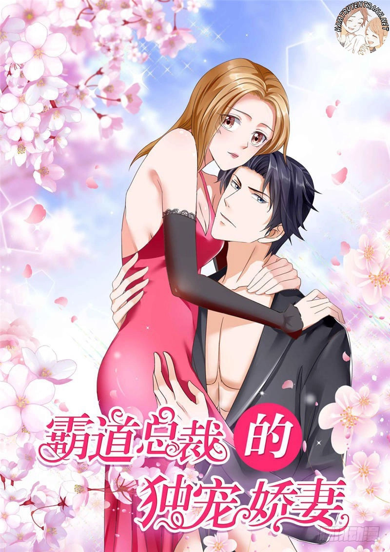 Độc Sủng Kiều Thê Của Bá Đạo Tổng Tài Chapter 44 - 1