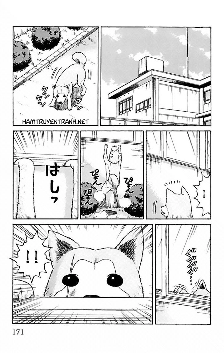 Nanba Mg5 Chapter 6 - 20