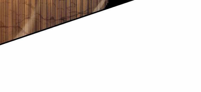 Ranker Mộng Du Chapter 9 - 28