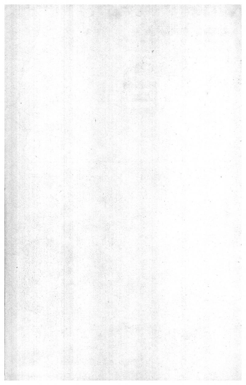 Musashi Chapter 27 - 2