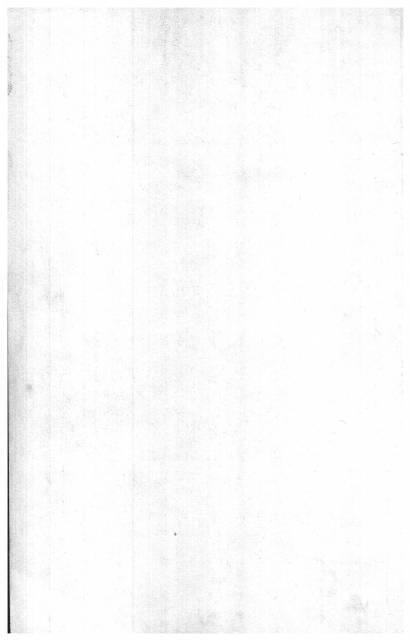 Musashi Chapter 26 - 2