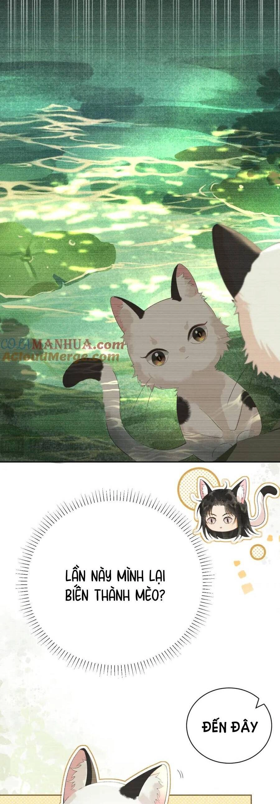 Trường Nguyệt Vô Tần Chapter 22 - 13