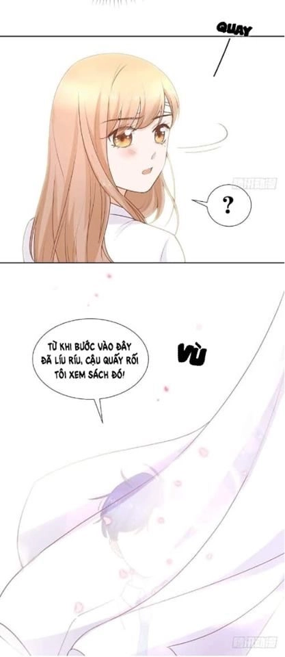 Trở Lại Tuổi 18: Nam Thần Trốn Chỗ Nào Chapter 2 - 20