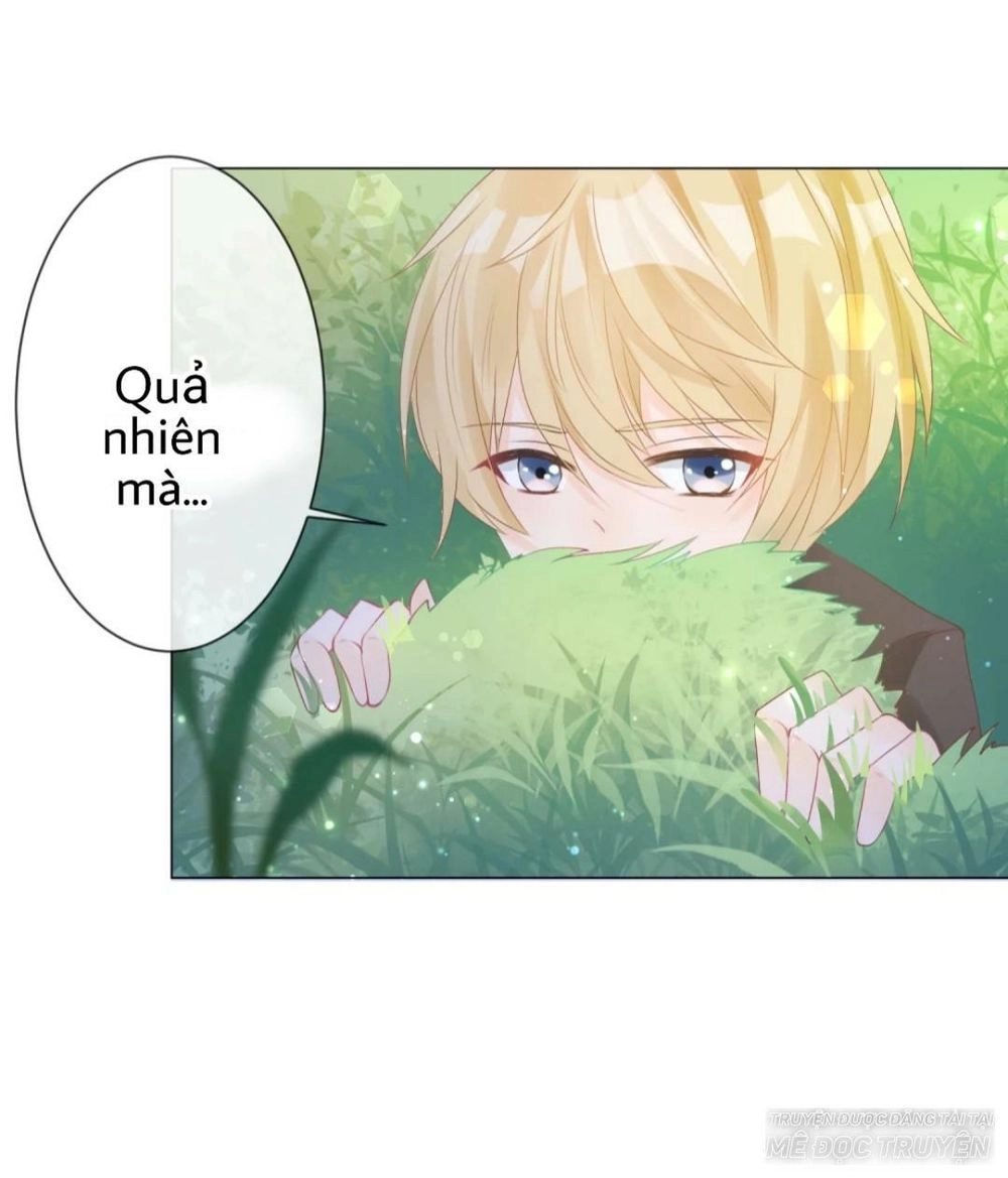 Trọng Sinh Siêu Sao - Lăng Thiếu Sủng Nghiện Chapter 5 - 31