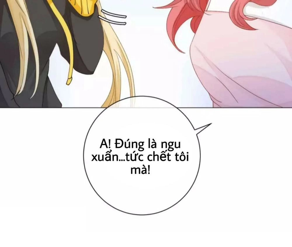 Trọng Sinh Siêu Sao - Lăng Thiếu Sủng Nghiện Chapter 12 - 4