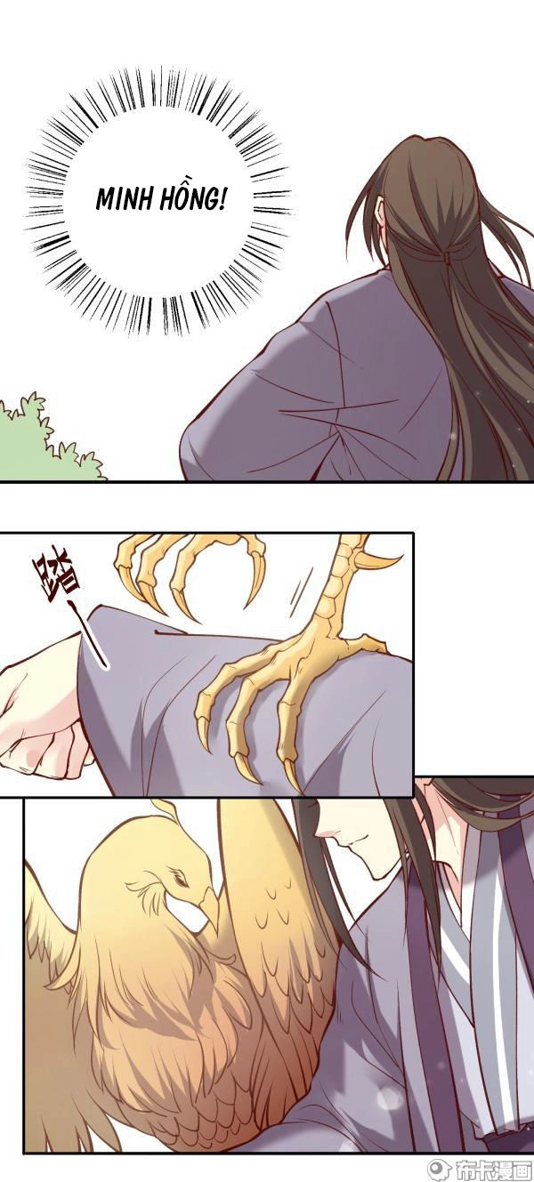 Yến Sơn Phái Và Bách Hoa Môn Chapter 182 - 13