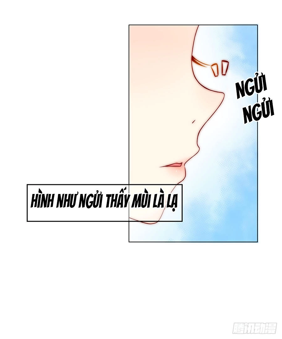 Lục Tiên Sinh Đừng Chọc Vào Tôi Chapter 3 - 11