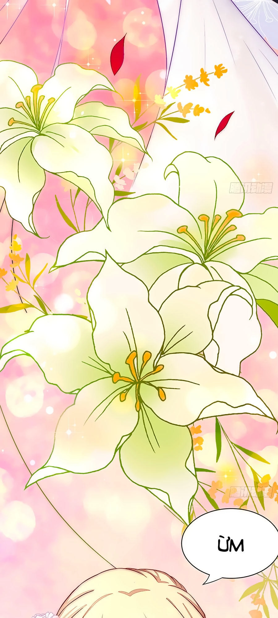 Lục Tiên Sinh Đừng Chọc Vào Tôi Chapter 6 - 15