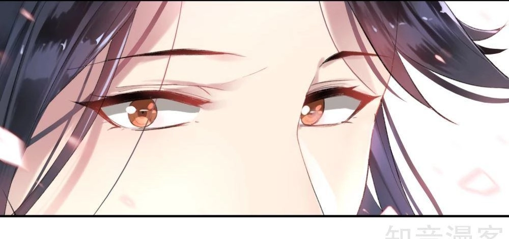 Vương Gia, Mã Giáp Của Người Rơi Rồi Chapter 1 - 71