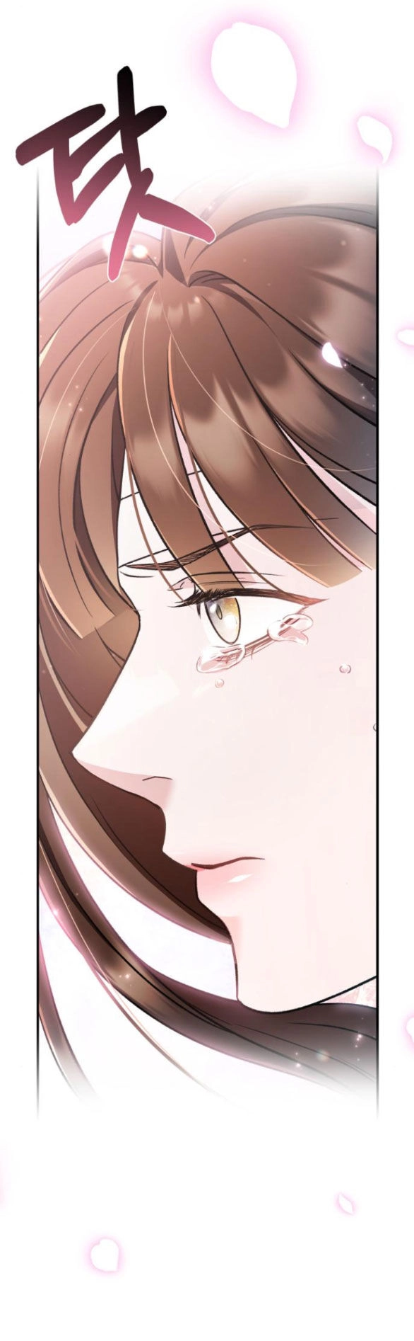 Bản Tình Ca Hy Lan Quốc Chapter 62.2 - 8