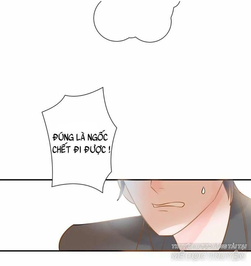 Ác Ma Thiếu Gia Ở Bên Cạnh Chapter 5 - 21