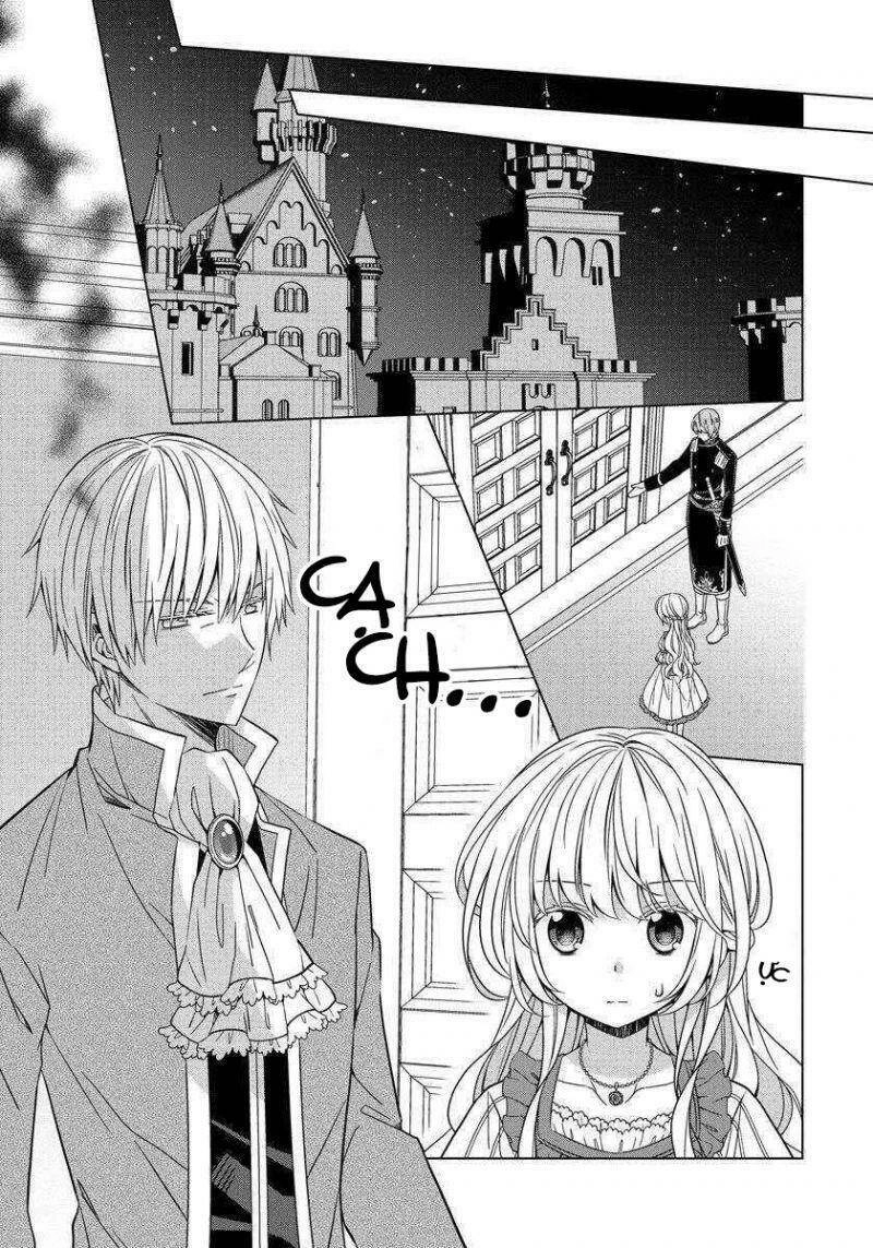 Tensei Oujo Wa Kyou Mo Hata Wo Tatakioru Chapter 19 - 15