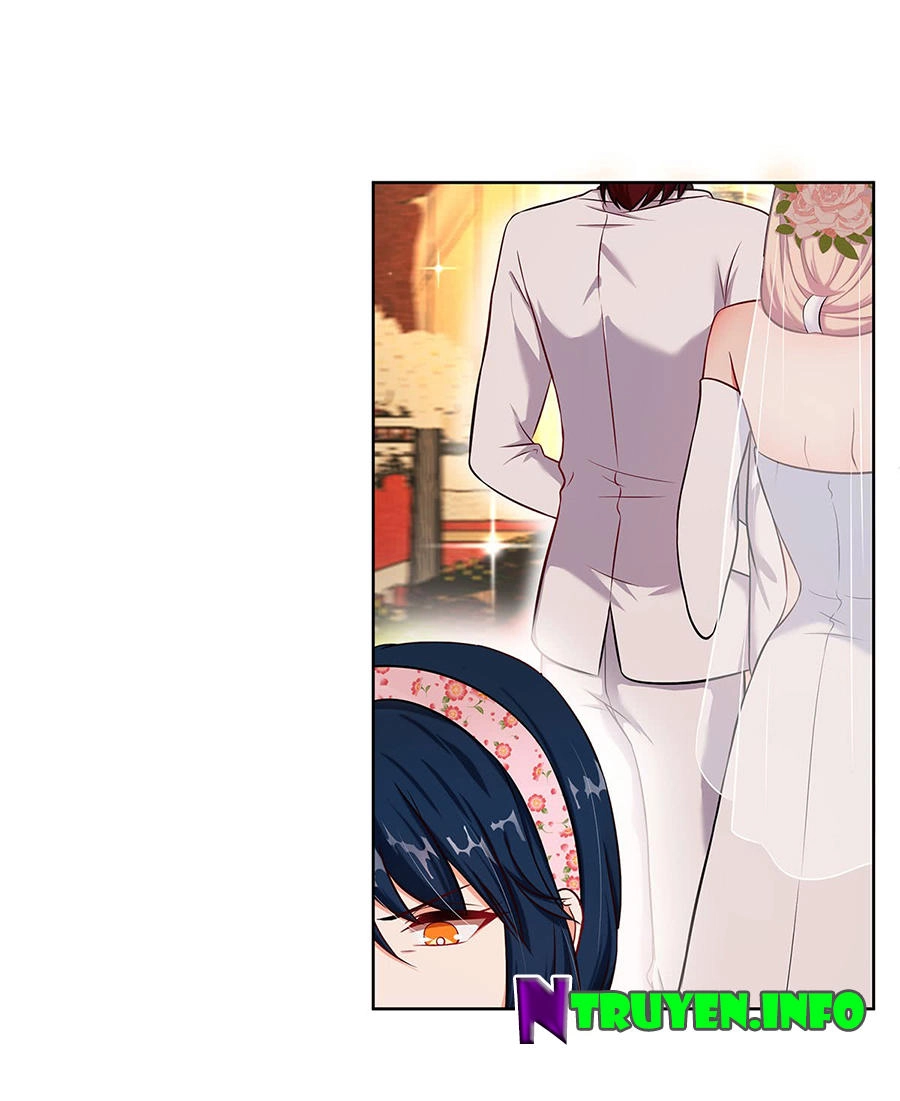 Trọng Sinh Quý Thê Chi Phục Thù Hoa Lệ Chapter 8 - 15