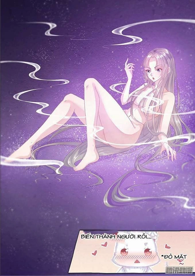 Hồ Yêu Thái Tử Phi Chapter 1 - 13