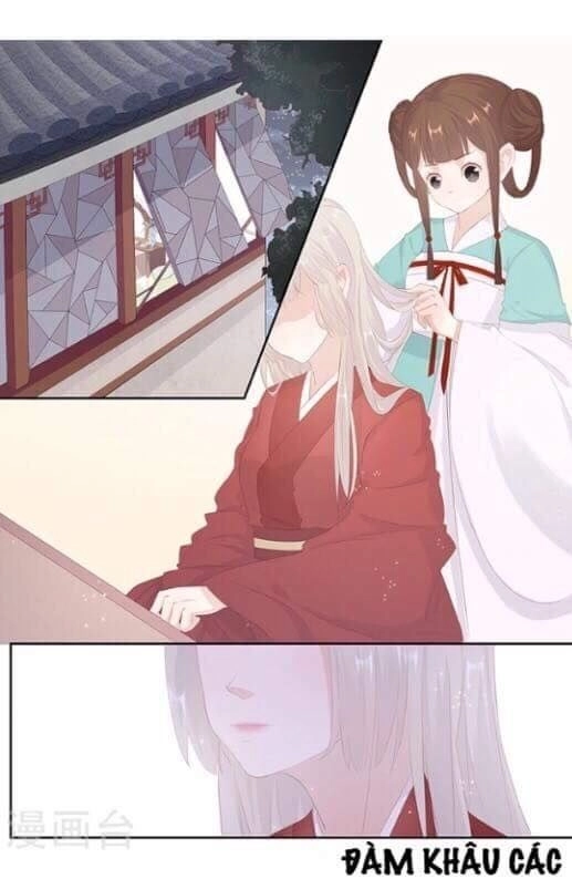 Hồ Yêu Thái Tử Phi Chapter 18 - 3