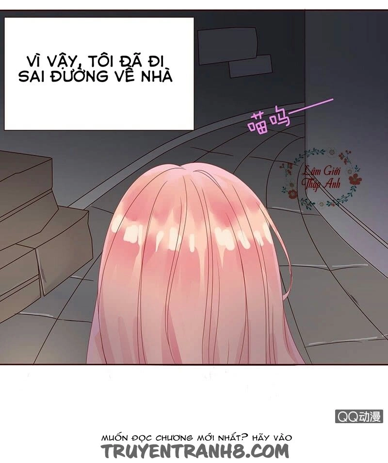 Băng Sơn Học Trưởng Không Được Chọc Chapter 1.1 - 14