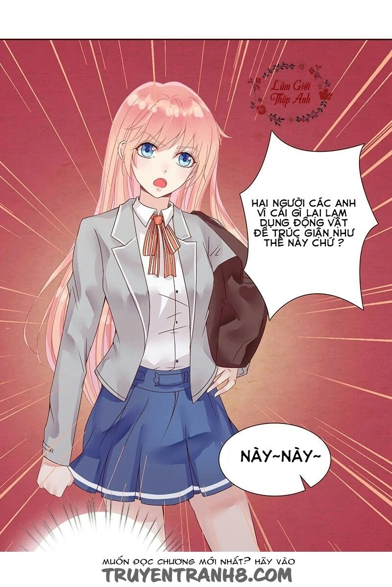 Băng Sơn Học Trưởng Không Được Chọc Chapter 1.1 - 21