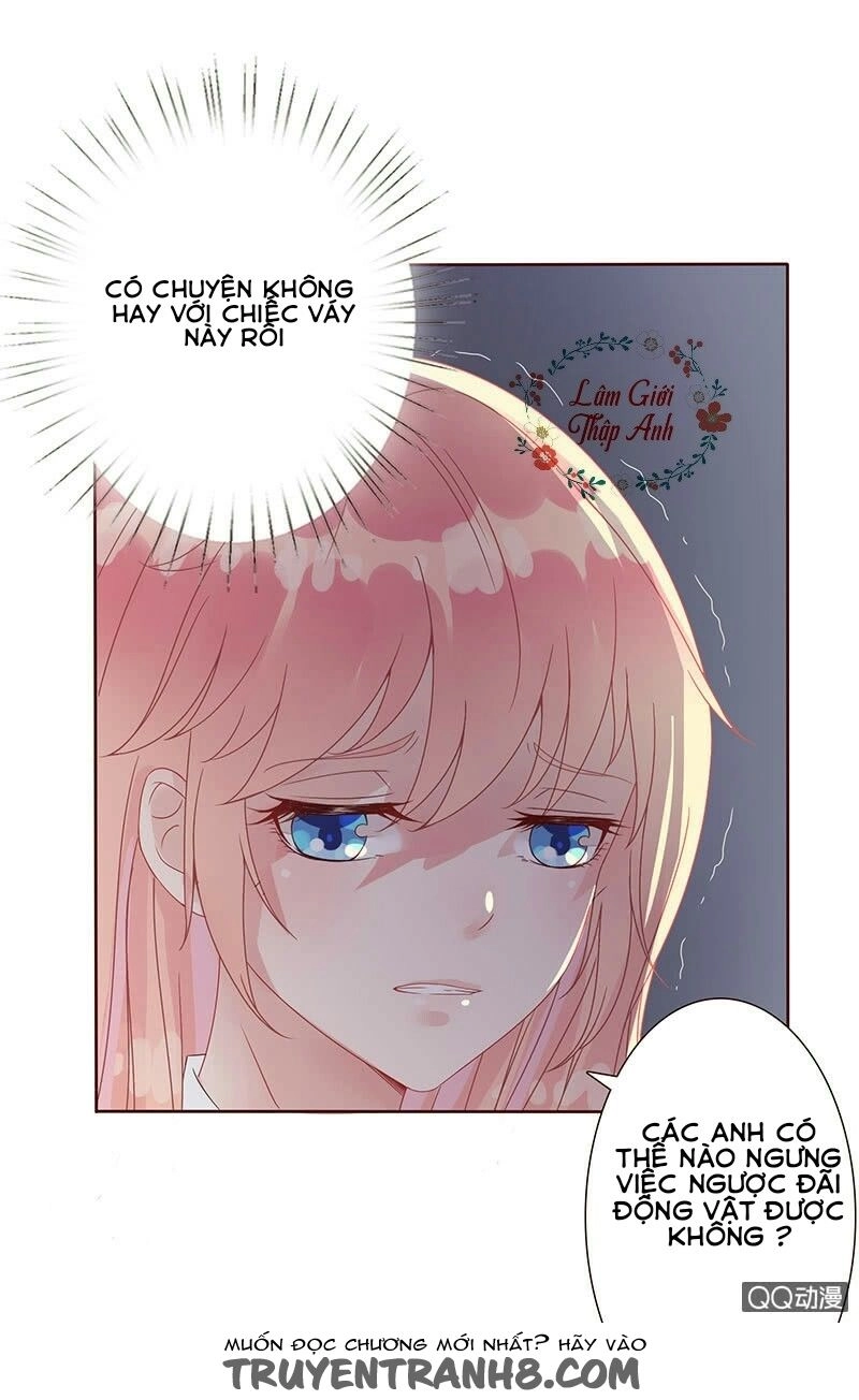 Băng Sơn Học Trưởng Không Được Chọc Chapter 1.1 - 25