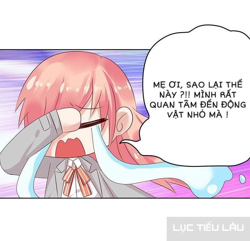 Băng Sơn Học Trưởng Không Được Chọc Chapter 13 - 10