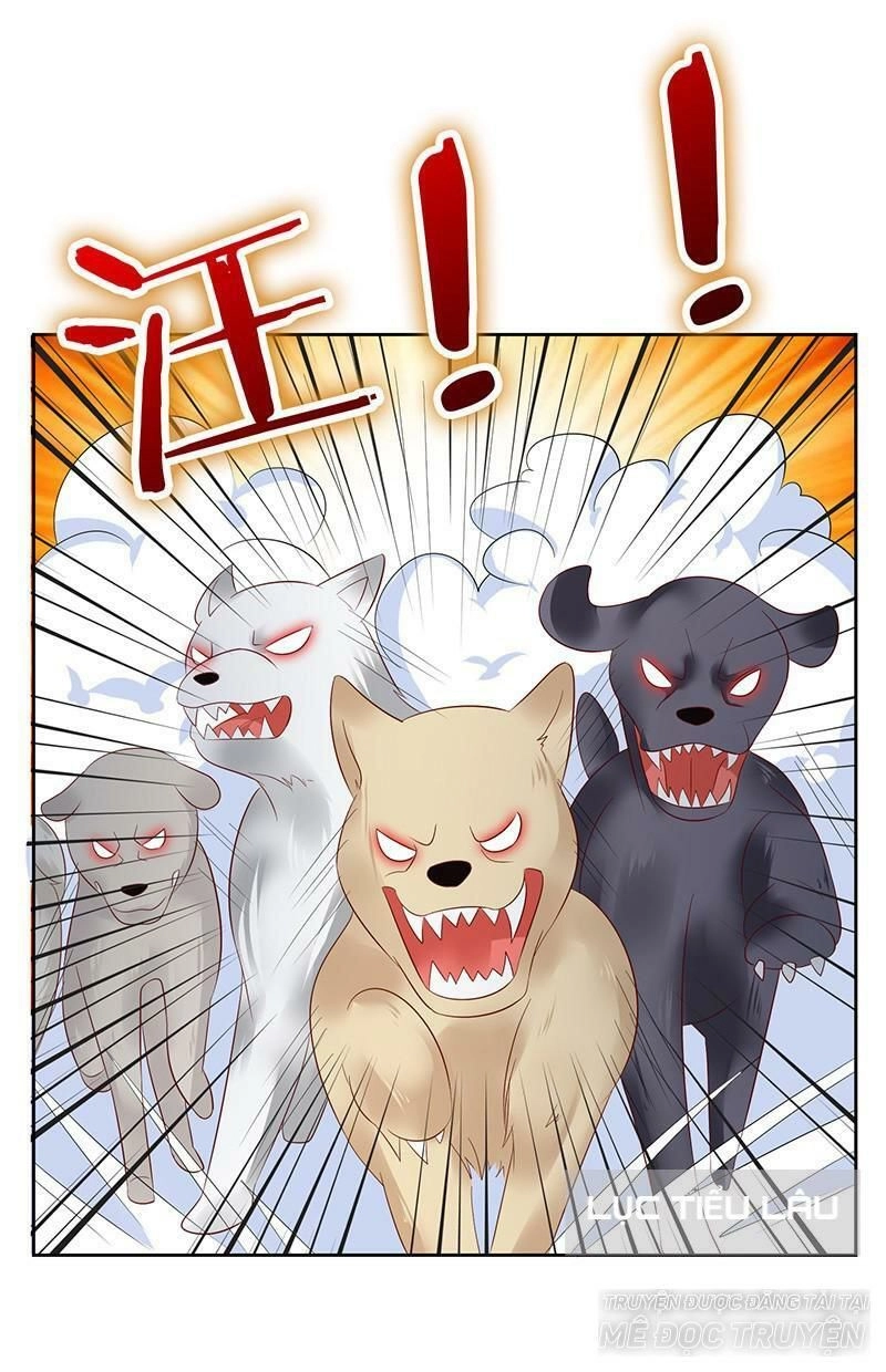 Băng Sơn Học Trưởng Không Được Chọc Chapter 13 - 50