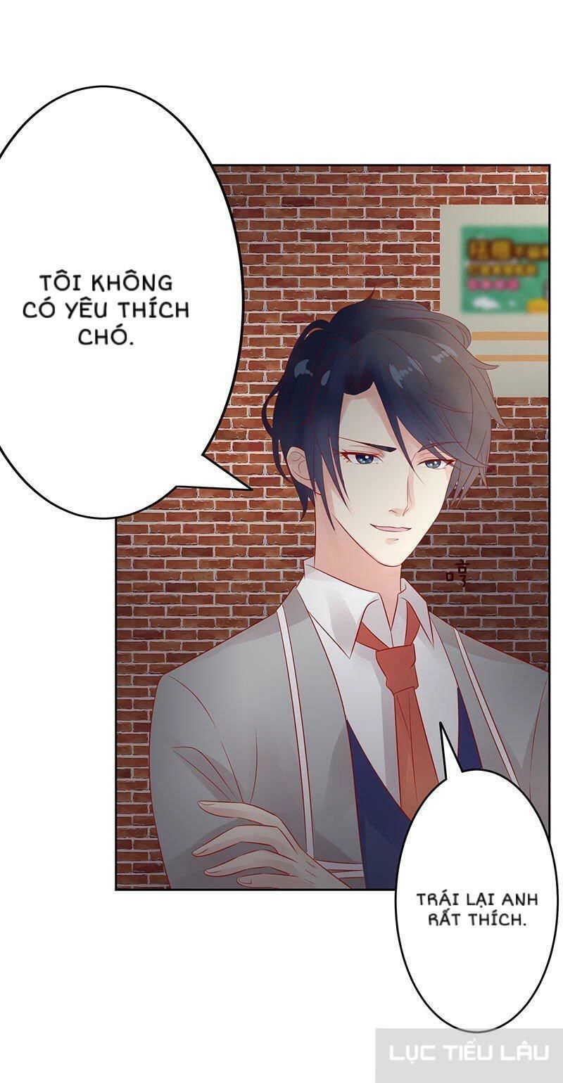 Băng Sơn Học Trưởng Không Được Chọc Chapter 14 - 10