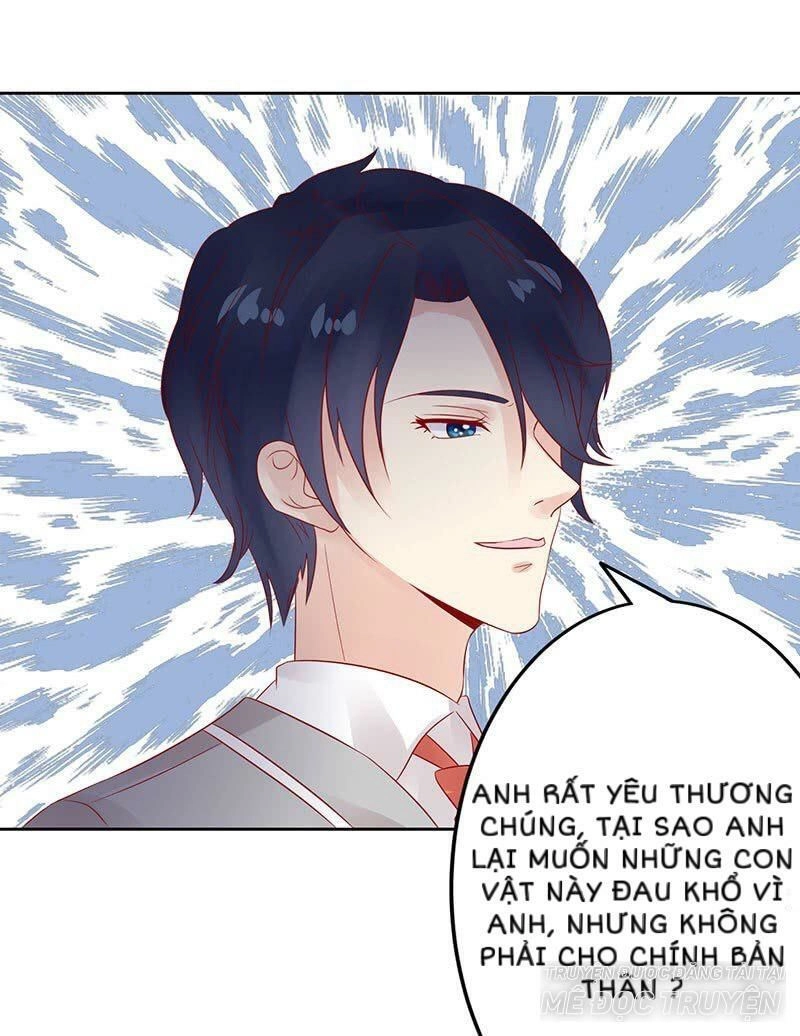 Băng Sơn Học Trưởng Không Được Chọc Chapter 14 - 11