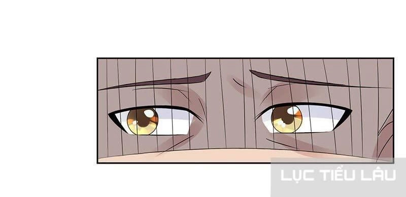 Băng Sơn Học Trưởng Không Được Chọc Chapter 14 - 47