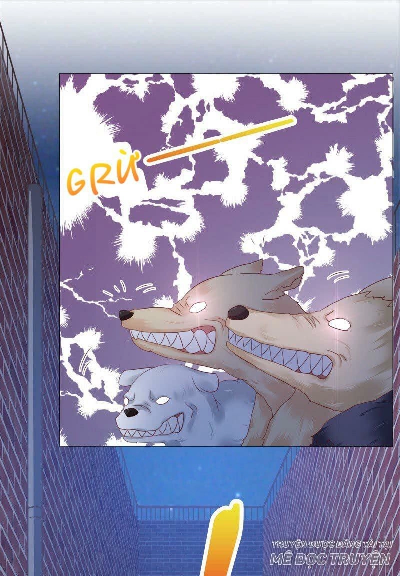 Băng Sơn Học Trưởng Không Được Chọc Chapter 15 - 11