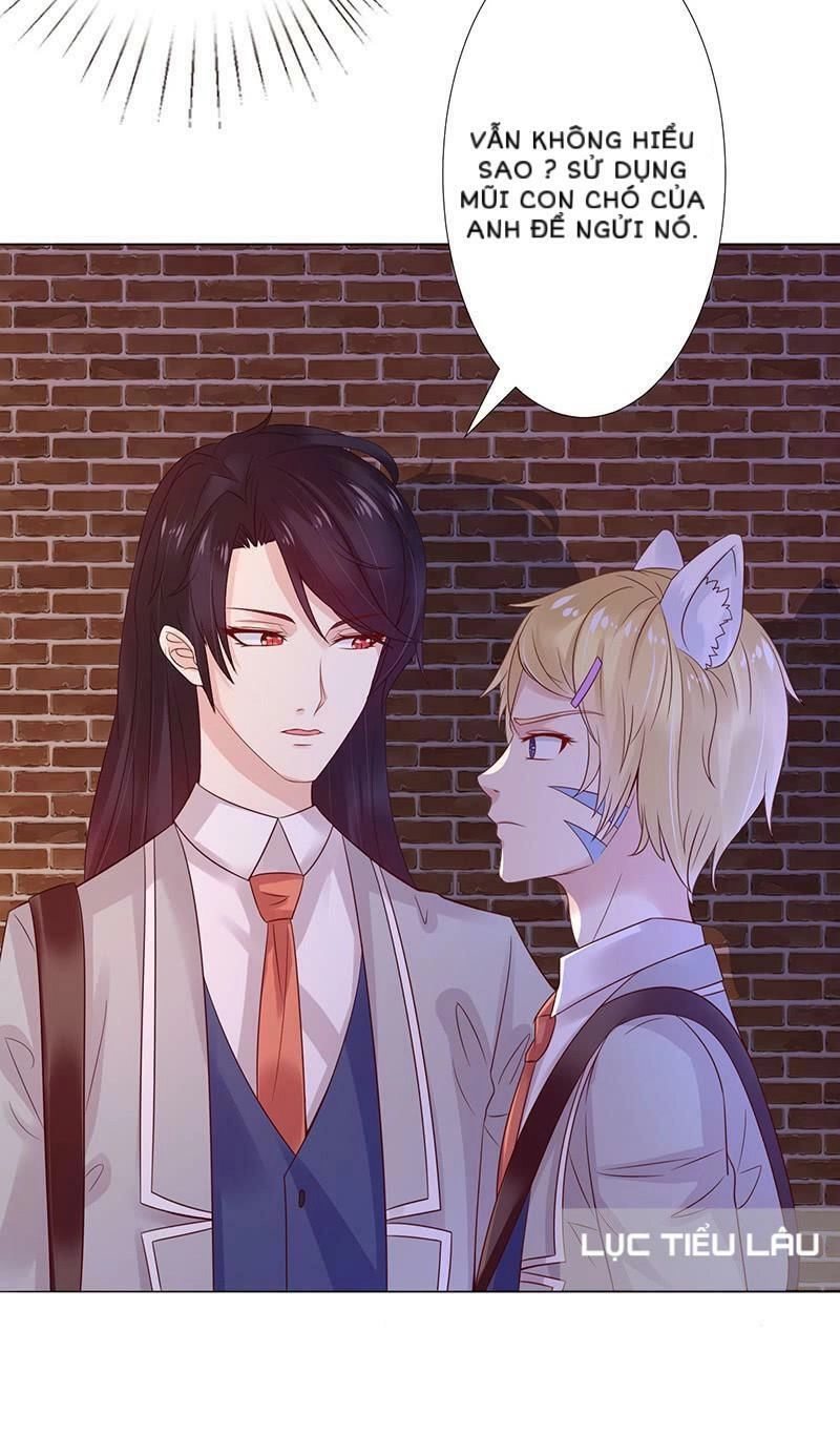 Băng Sơn Học Trưởng Không Được Chọc Chapter 15 - 18