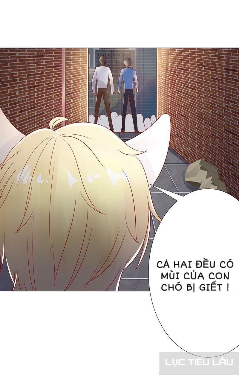 Băng Sơn Học Trưởng Không Được Chọc Chapter 15 - 22