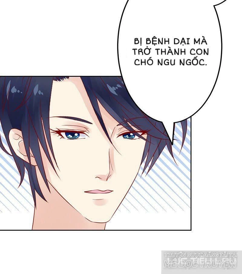 Băng Sơn Học Trưởng Không Được Chọc Chapter 15 - 41