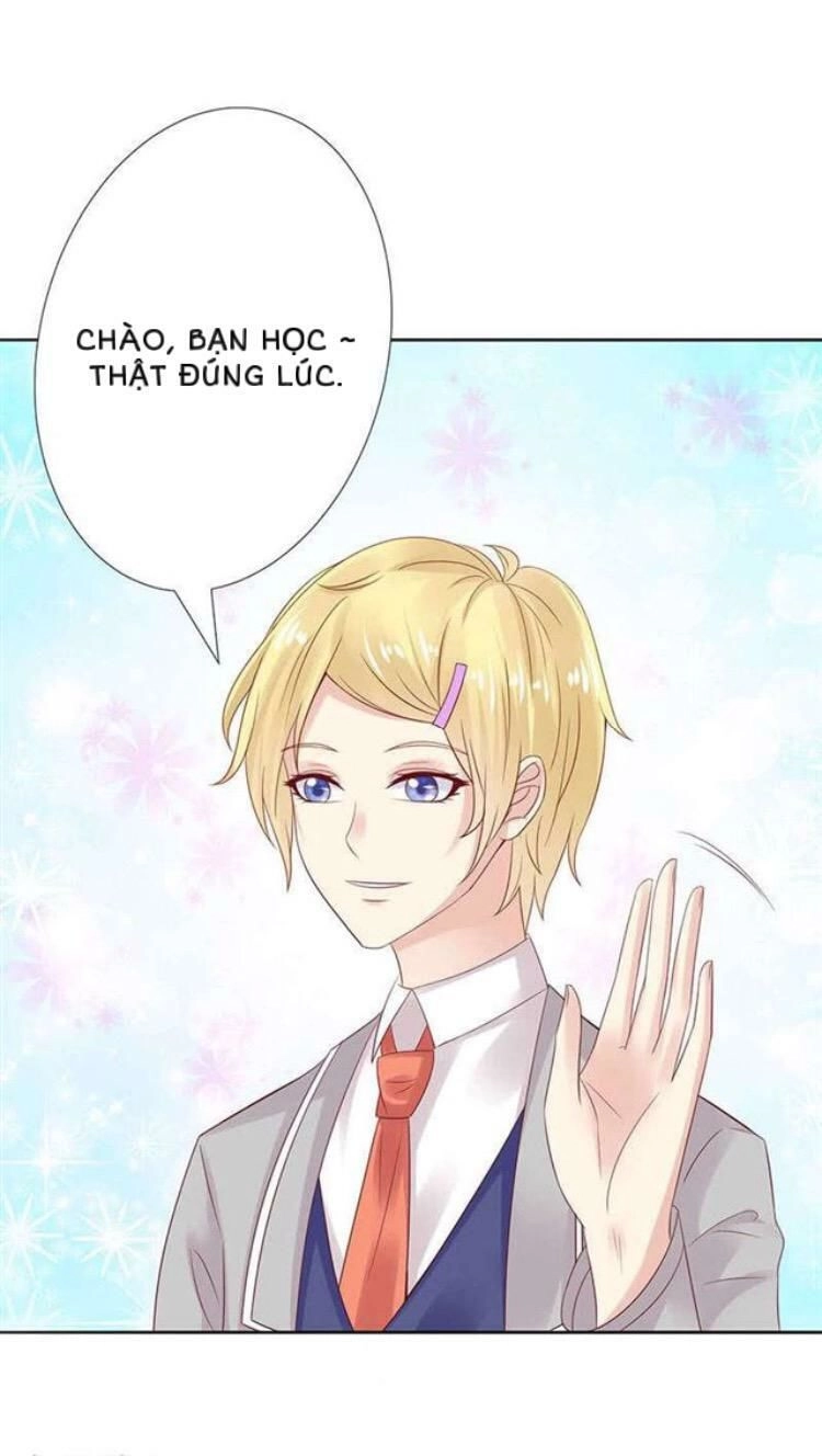 Băng Sơn Học Trưởng Không Được Chọc Chapter 17 - 29